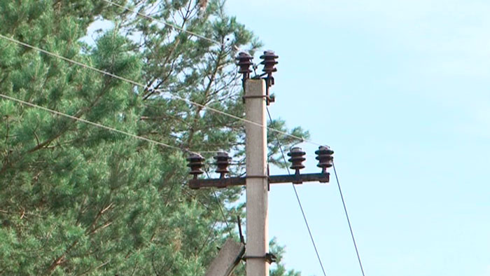 В Гродненской области сильный ветер повалил деревья