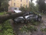Фотофакт. В Горках ветер повредил кровлю больницы и обрушил дерево на Mitsubishi