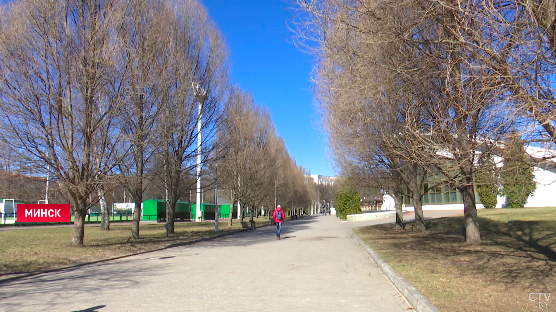 В Беларуси сохраняется оранжевый уровень опасности из-за сильного ветра-1