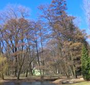 В Беларуси сохраняется оранжевый уровень опасности из-за сильного ветра