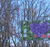 В МЧС Беларуси предупредили о сильном ветре. Ожидаются порывы до 27 м/с