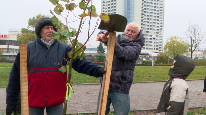 Ветераны и неравнодушная молодёжь высадили новую аллею в сквере «Старостинская слобода»