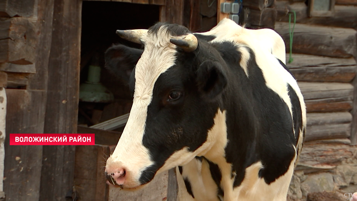 Участники из Воложинского района взяли 4 первых места на конкурсе «Ветеранское подворье»-10