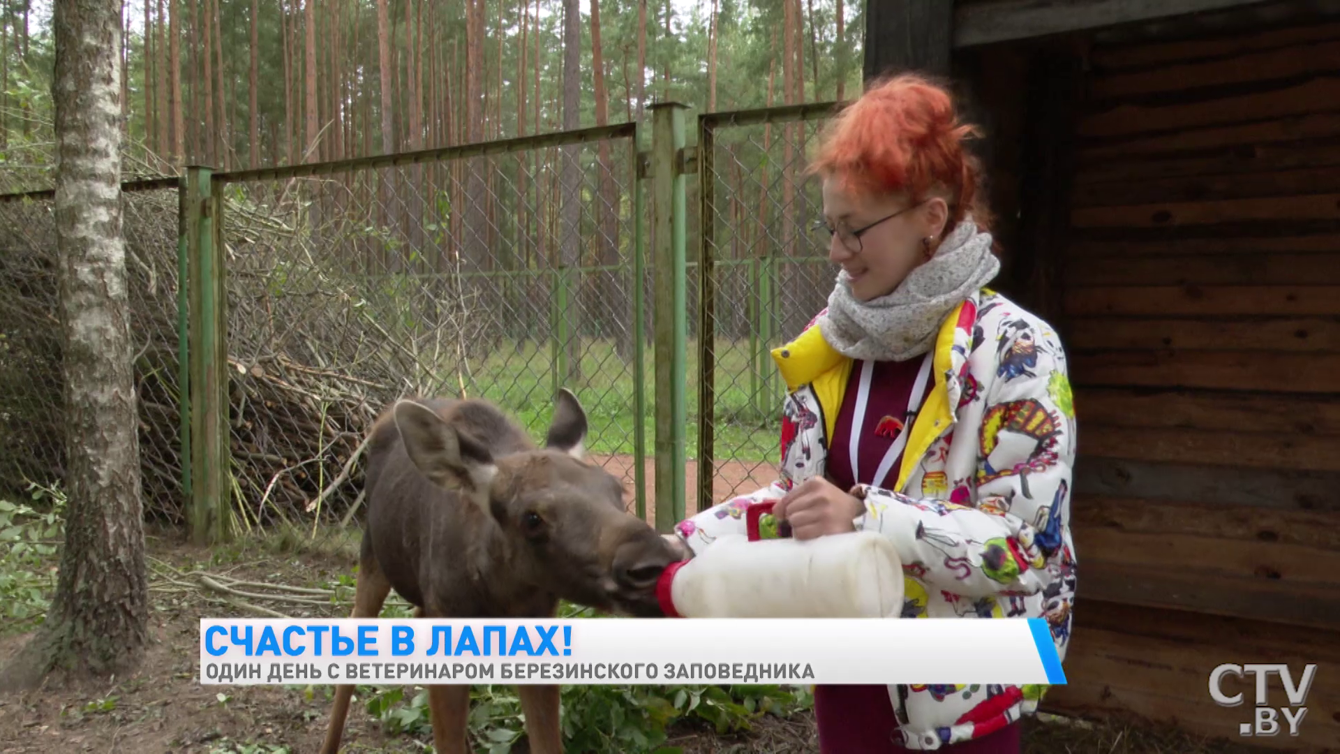 «Гуси всегда пьют воду у индюков. Своя вода их не устраивает». Один день с ветеринаром Березинского заповедника-31