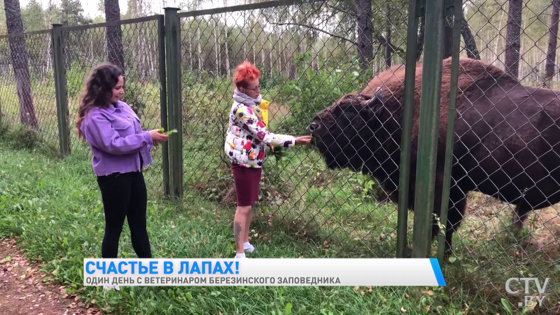 «Гуси всегда пьют воду у индюков. Своя вода их не устраивает». Один день с ветеринаром Березинского заповедника-19