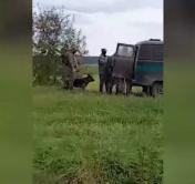 Белорусская сторона не применяла силу. Госпогранкомитет прокомментировал видео Литвы