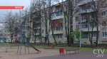 Женщина, выбросившая собаку с восьмого этажа в Витебске, была пьяна 