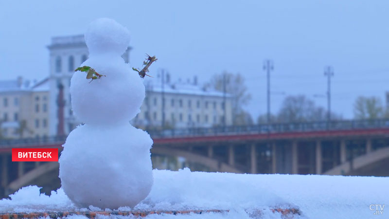 Города завалило снегом. В Беларуси неожиданно сменилась погода-4