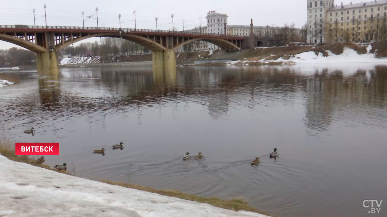 Растёт уровень воды. Где в Беларуси уже критическая отметка?-4