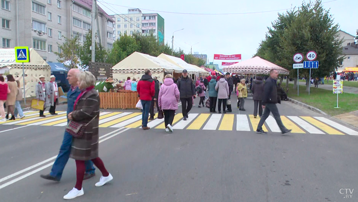 Стаc Пьеха выступит на «Дожинках» в Столбцах-13