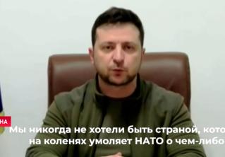 Зеленский: «Мы никогда не хотели быть страной, которая на коленях умоляет НАТО о чём-либо»