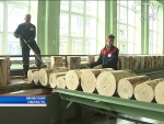 Заместитель гендиректора «Борисовдрева» задержан по подозрению в получении взятки