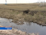 На Гомельщине выявлены серьезные нарушения мелиорации земель