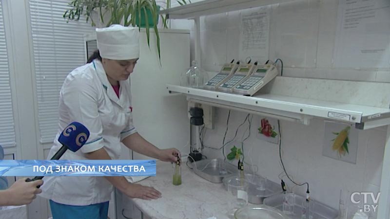 Как проверяют фрукты, ягоды и овощи на рынках? Экскурсия в лабораторию-10