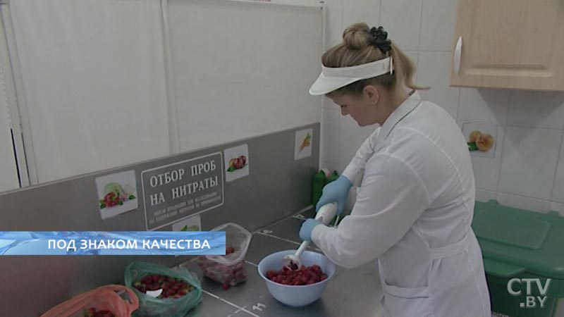 Как проверяют фрукты, ягоды и овощи на рынках? Экскурсия в лабораторию-12