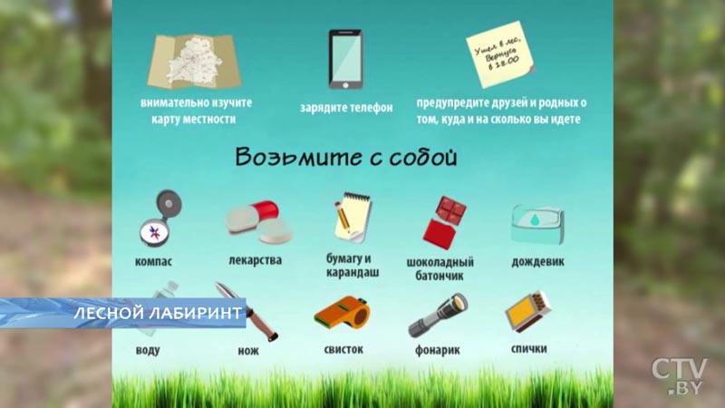 «Надо постараться идти прямо». Как не заблудиться в лесу и что делать, если потерялись?-1