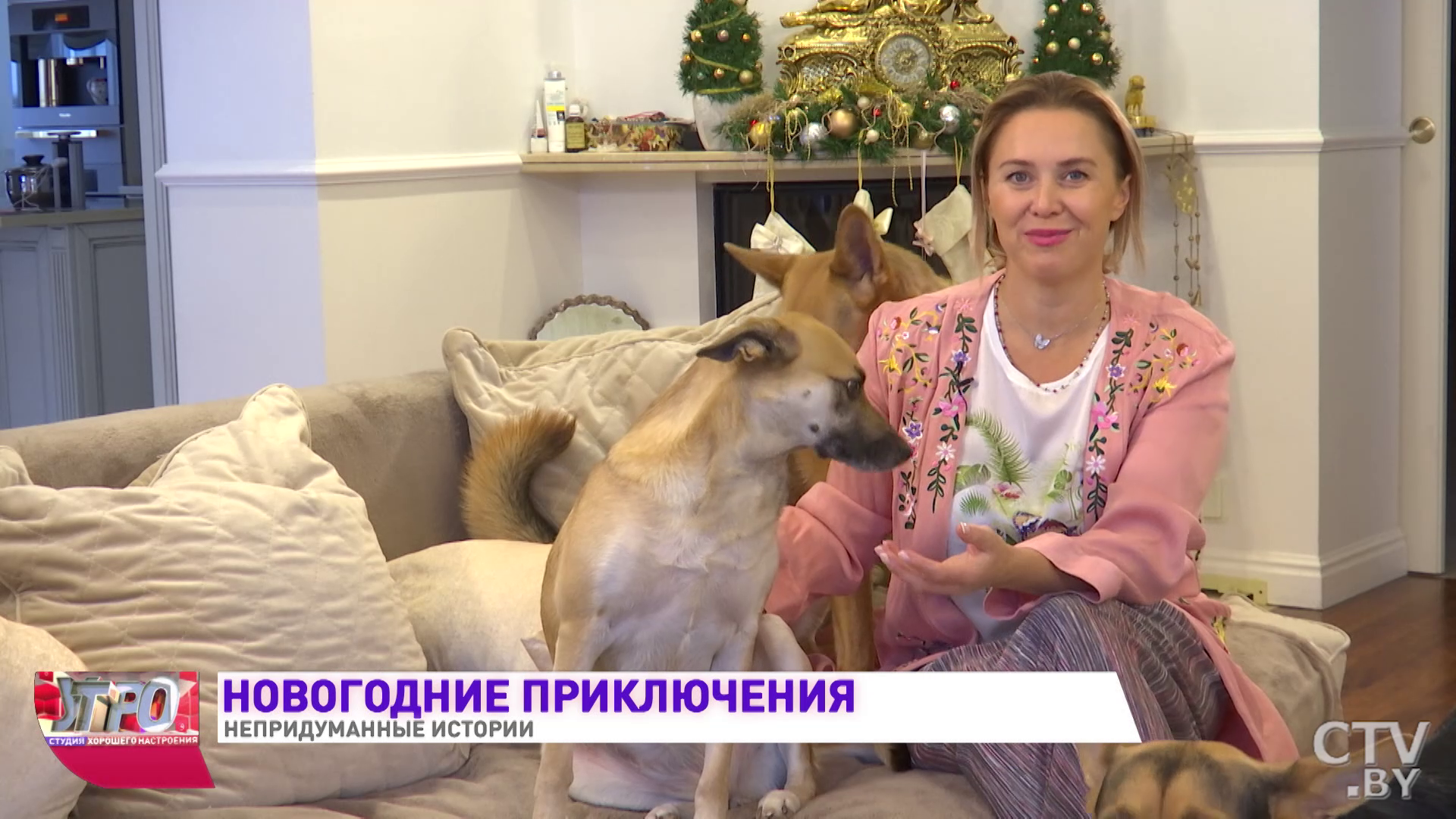 «Ходят полураздетые Деды Морозы». Новогодние приключения белорусских знаменитостей. 3 истории-10