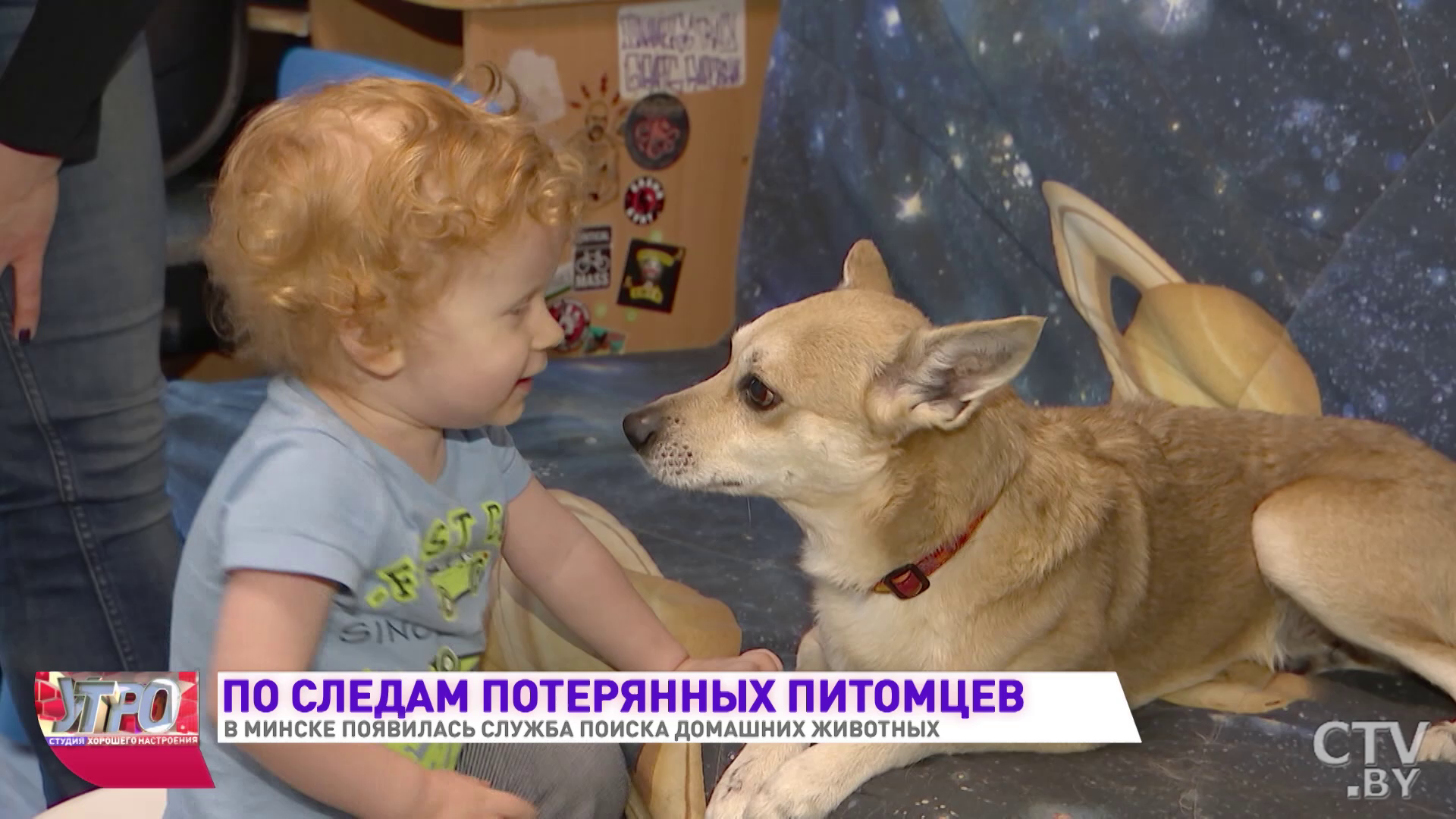Служба поиска домашних животных появилась в Минске-1