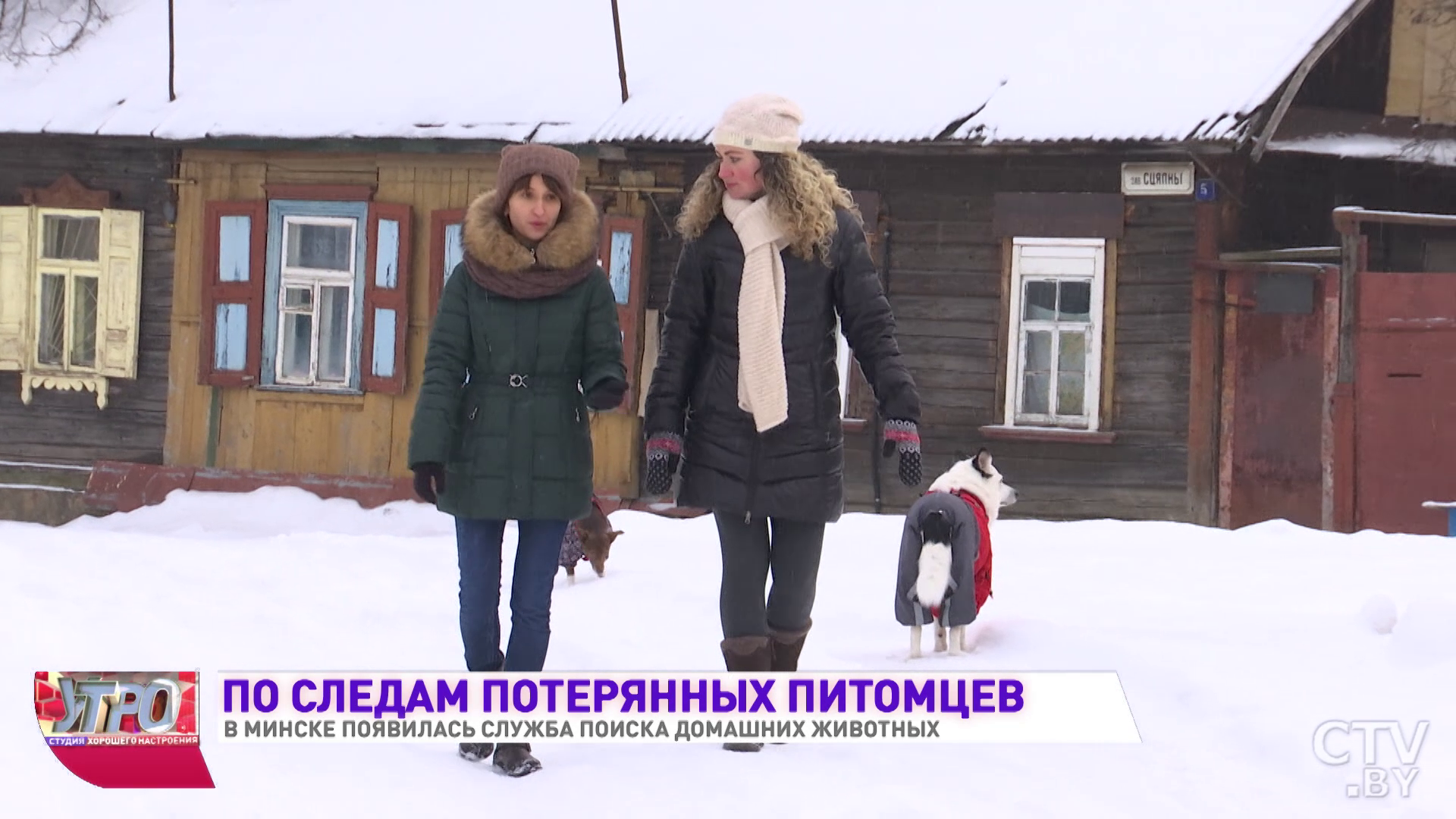 Служба поиска домашних животных появилась в Минске-10