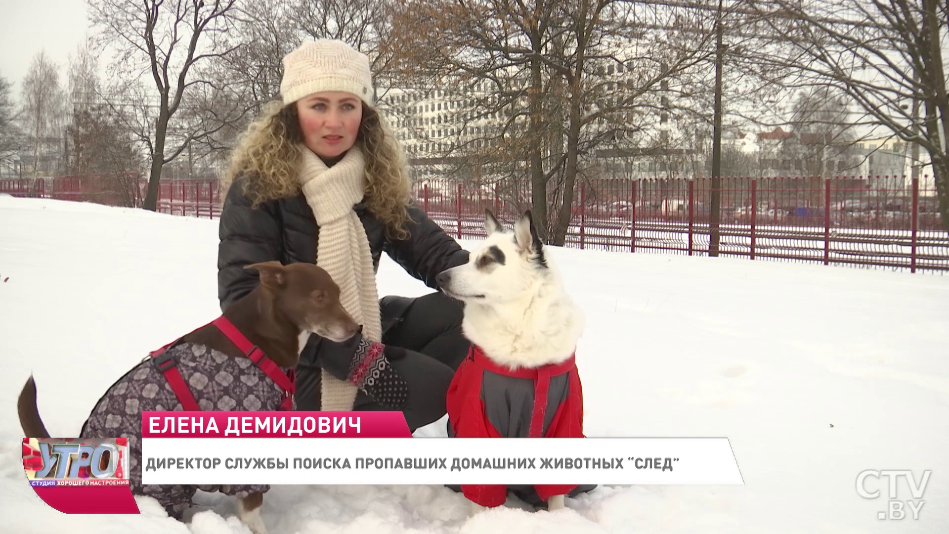 Служба поиска домашних животных появилась в Минске-13