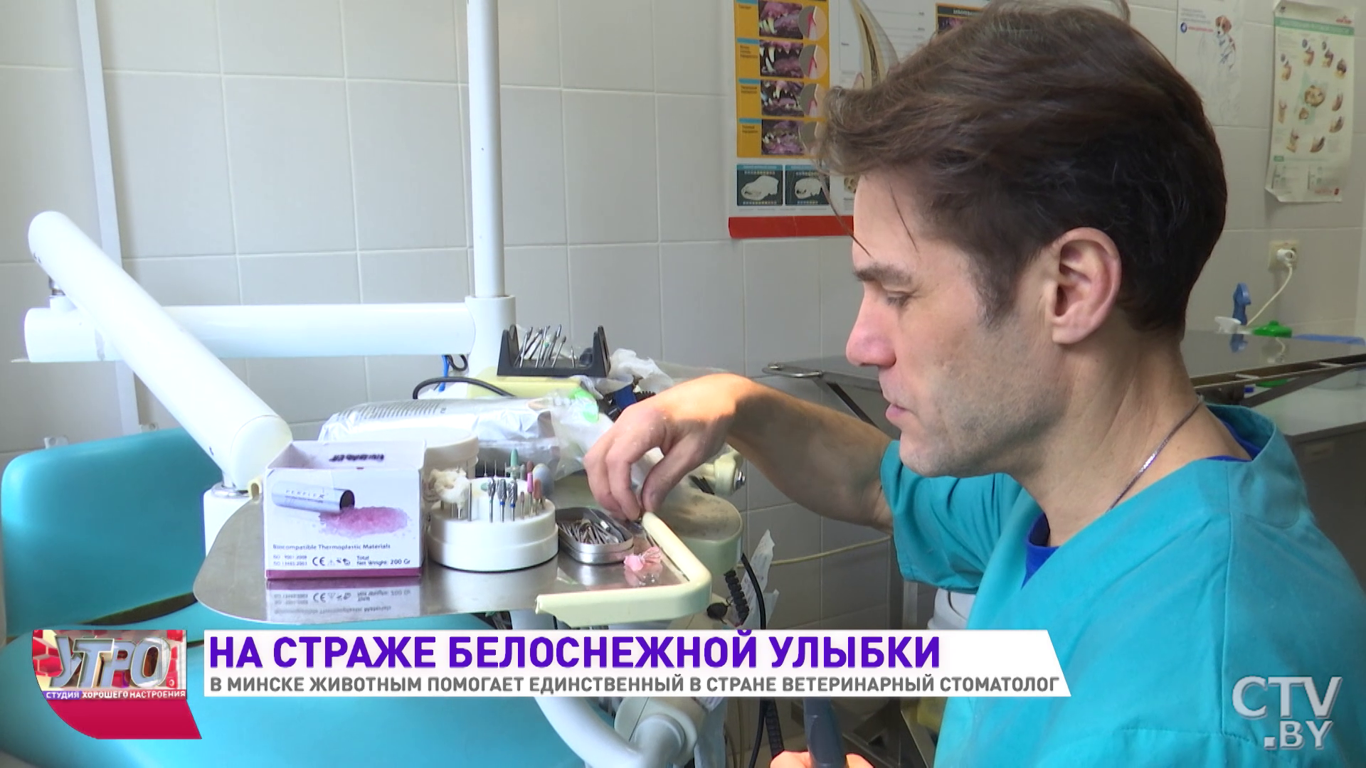«Один из первых пациентов был ежик». Как лечит зубы животным ветеринарный стоматолог из Минска -13