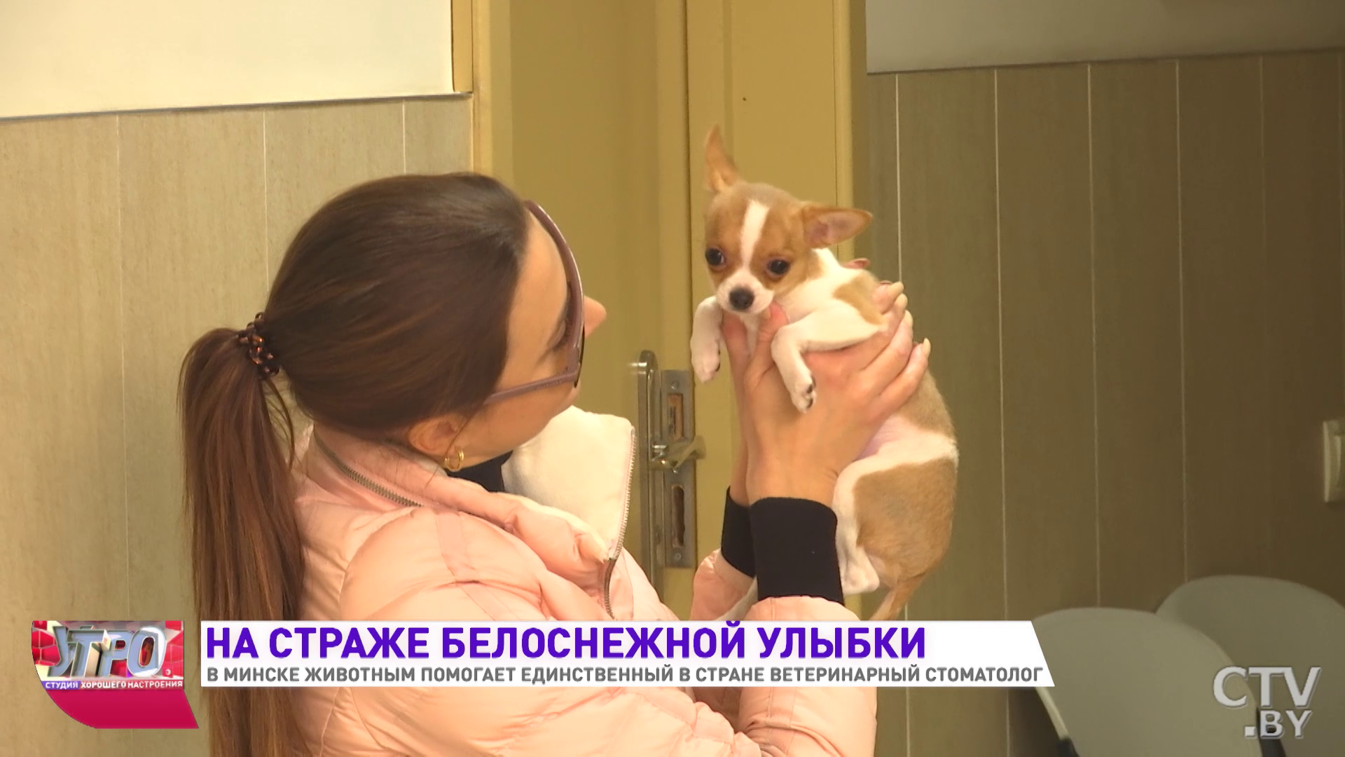 «Один из первых пациентов был ежик». Как лечит зубы животным ветеринарный стоматолог из Минска -11