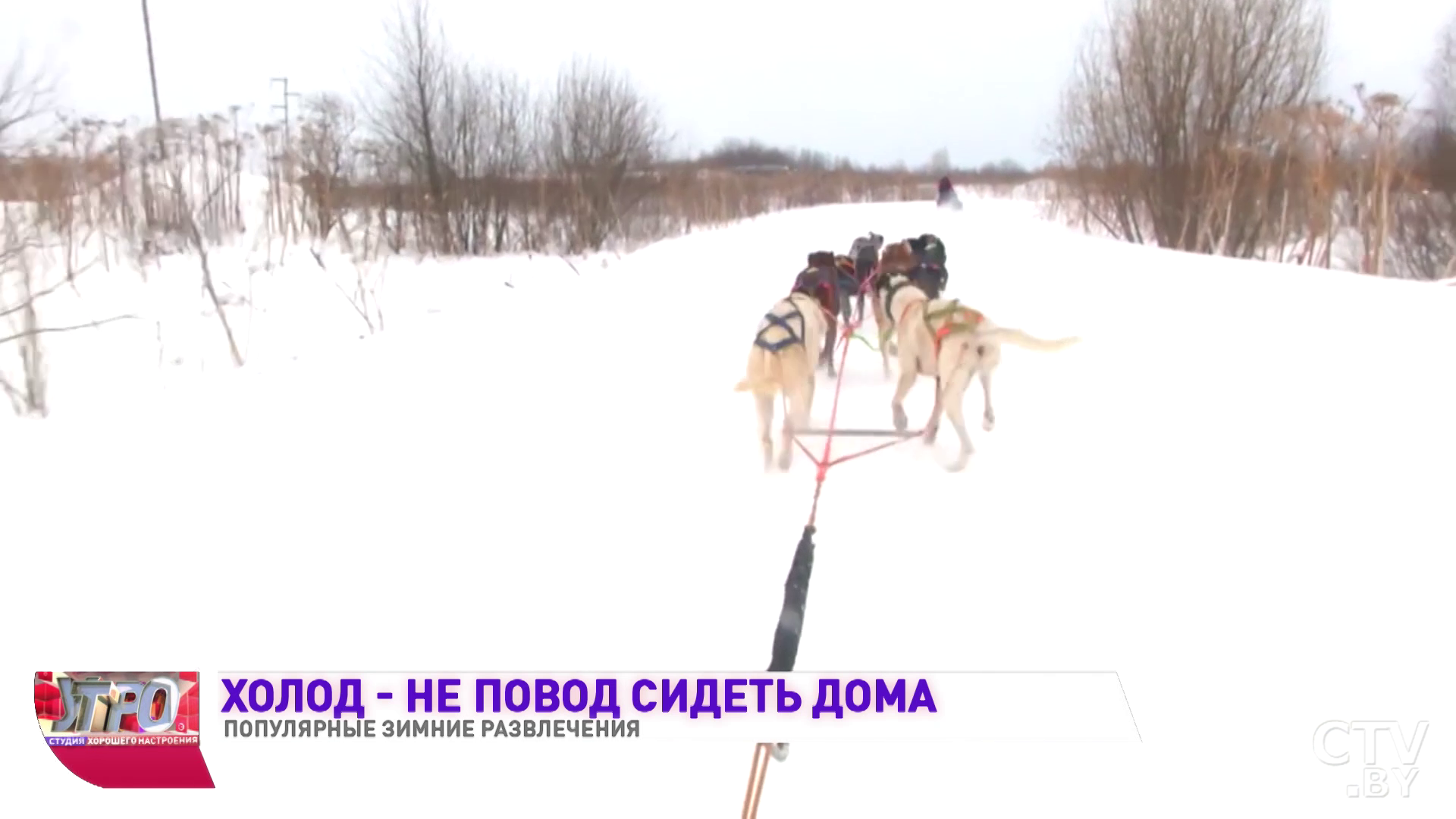 Катание на собачьих упряжках, снегоступинг и брумбол: какие зимние развлечения популярны в Минске-1