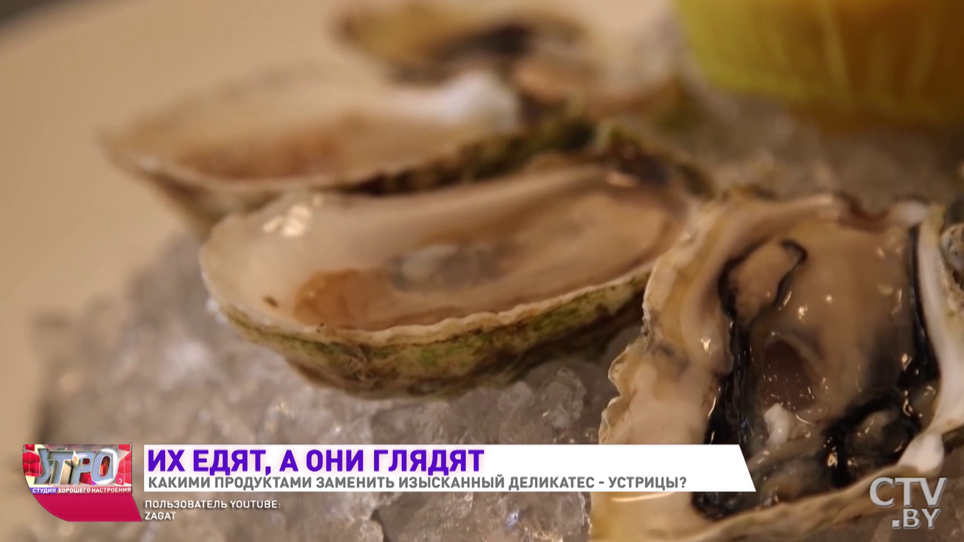 Устрицы: чем полезны, кому нельзя и как выбрать-10 Устрицы: чем полезны, кому нельзя и как выбрать-10