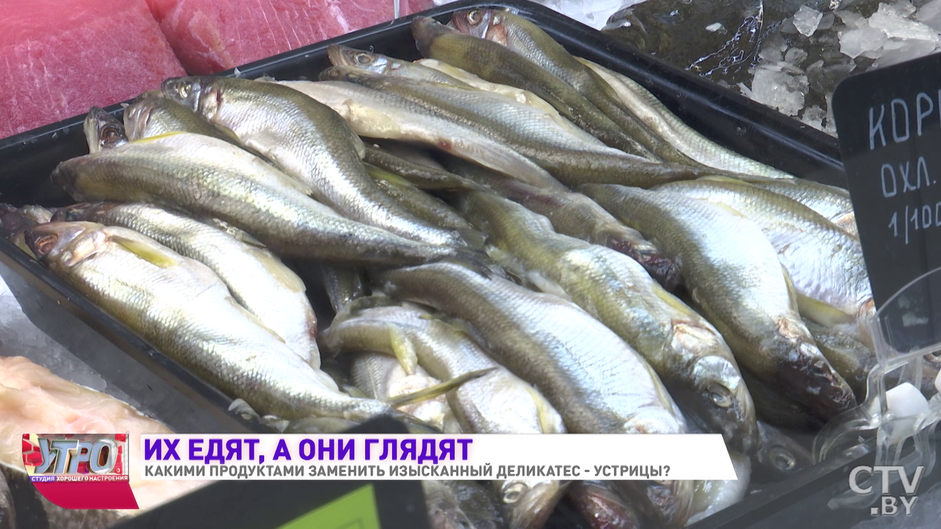 Устрицы: чем полезны, кому нельзя и как выбрать-16