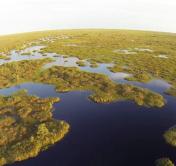 Из него можно пить воду и оно не засасывает. Показываем самое большое верховое болото в Беларуси