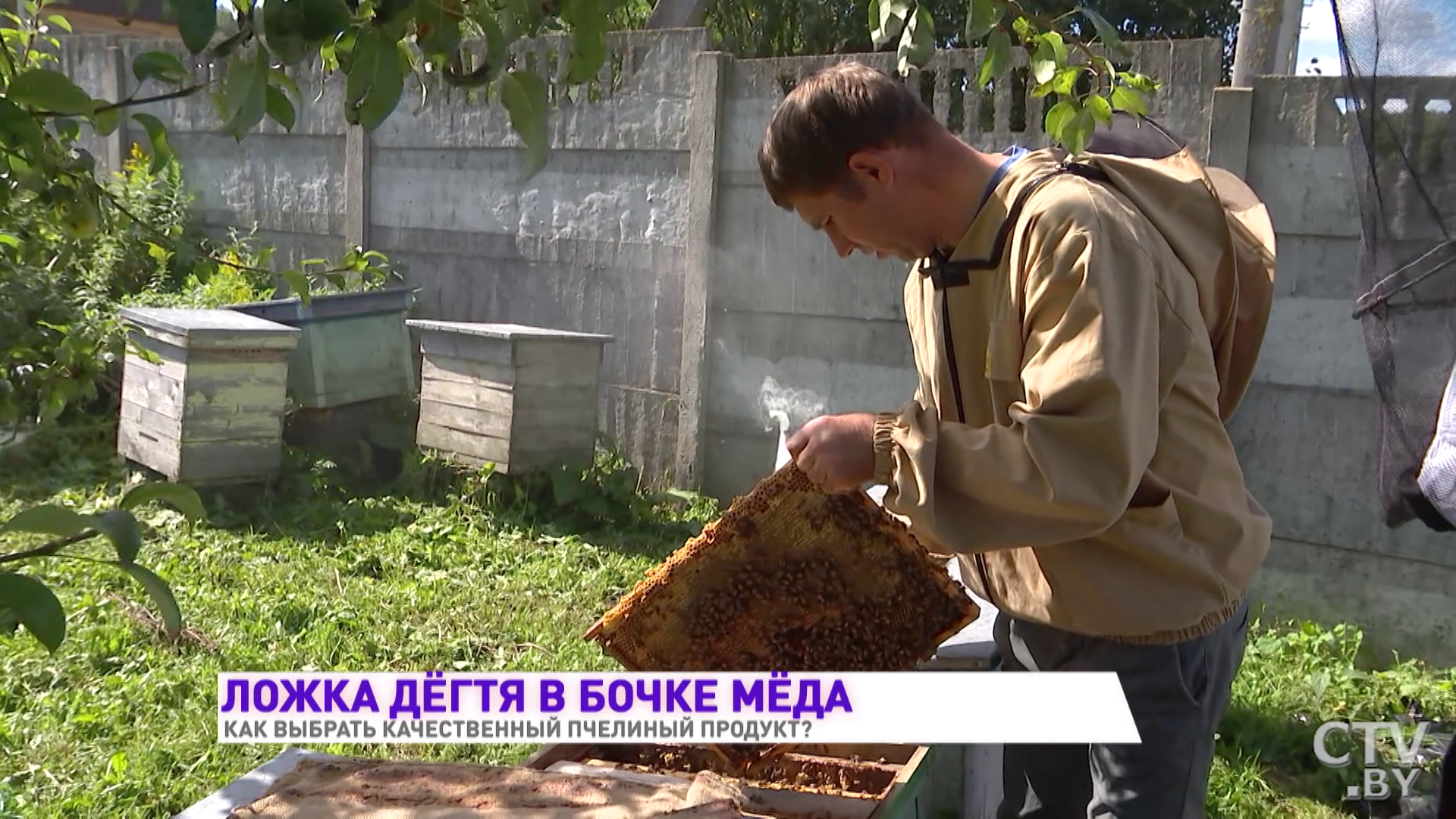 Как выбрать качественный мёд? 4 важных признака-4