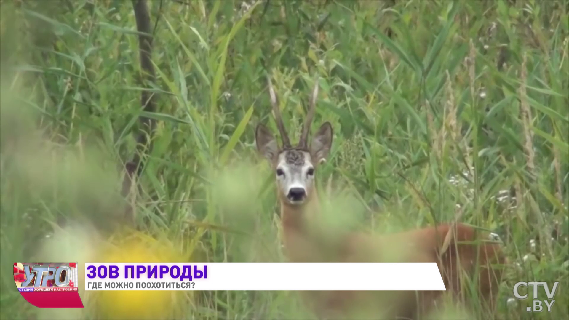 Что нужно знать начинающему охотнику? 5 важных нюансов-25