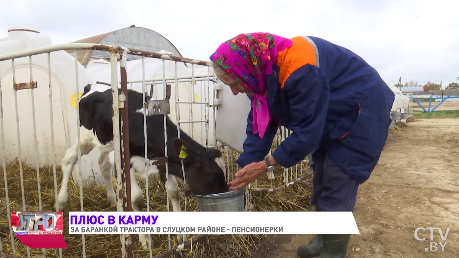 «Не люблю на лавке сидеть и сплетни собирать». Бабушки-трактористки работают под Слуцком-1
