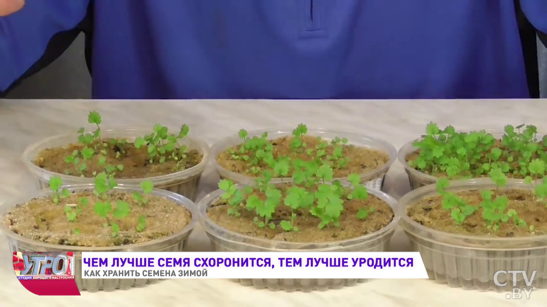 «Нельзя переохлаждать»: как правильно хранить семена зимой-13