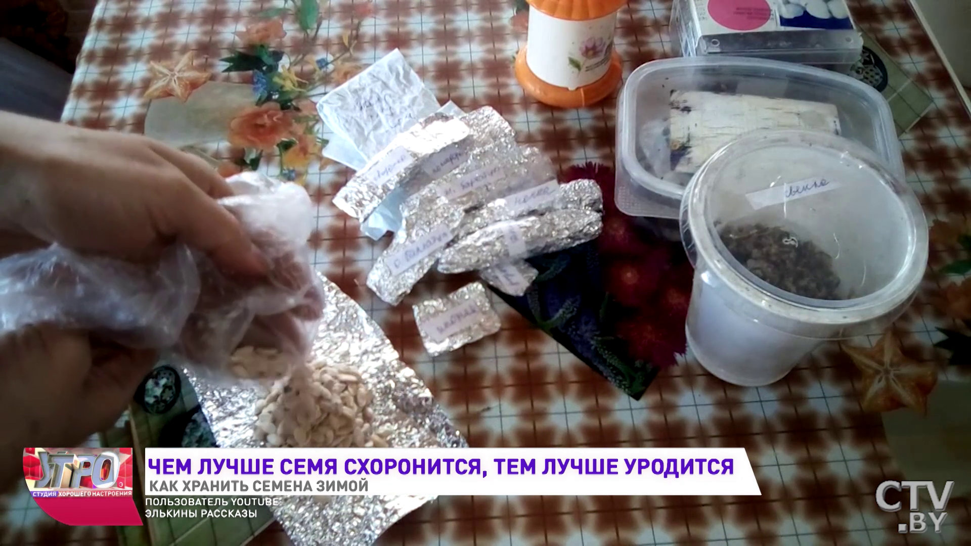 «Нельзя переохлаждать»: как правильно хранить семена зимой-19
