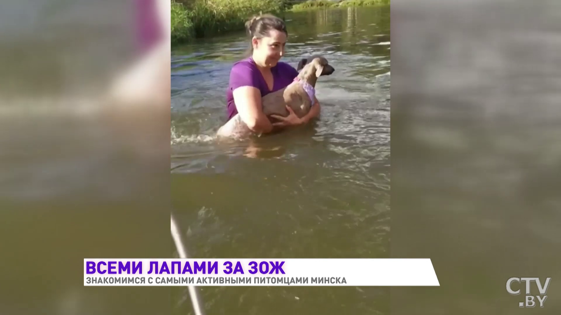 Одна сплавляется на байдарках, другие ездят в прицепе на велосипеде. Знакомимся с активными собаками Минска-18