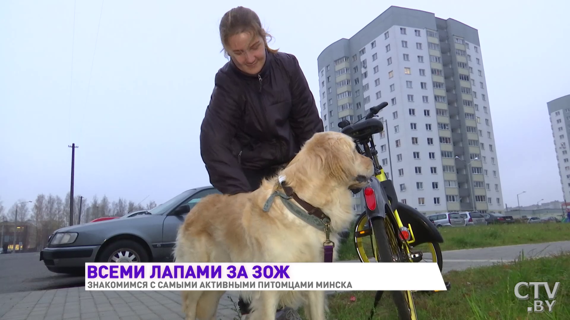 Одна сплавляется на байдарках, другие ездят в прицепе на велосипеде. Знакомимся с активными собаками Минска-27