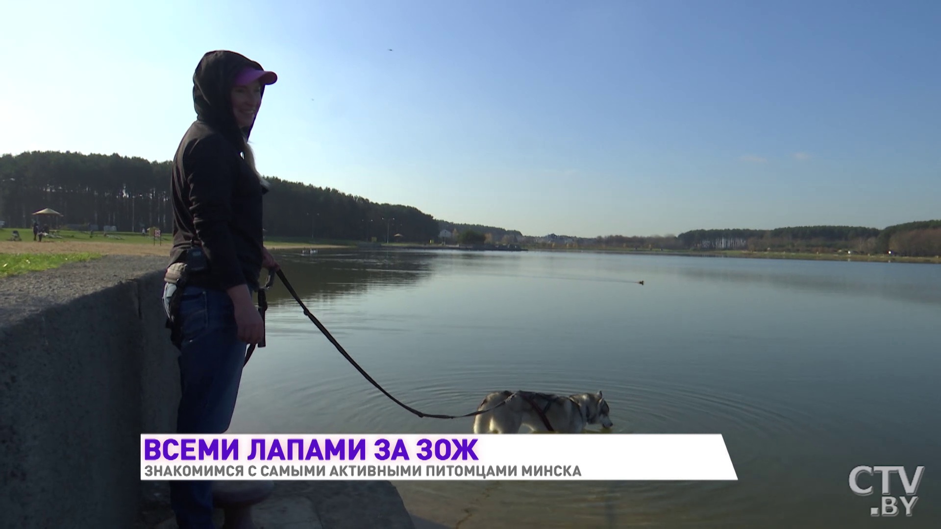 Одна сплавляется на байдарках, другие ездят в прицепе на велосипеде. Знакомимся с активными собаками Минска-6