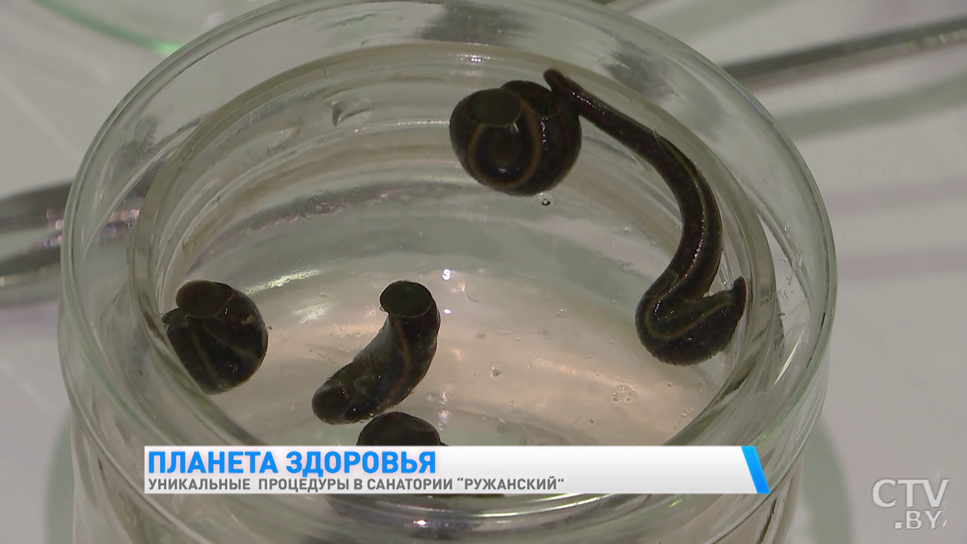 Ванны с молоком и мёдом, как у Клеопатры, и грязелечение: какие ещё уникальные процедуры есть в «Ружанском»-22 Ванны с молоком и мёдом, как у Клеопатры, и грязелечение: какие ещё уникальные процедуры есть в «Ружанском»-22