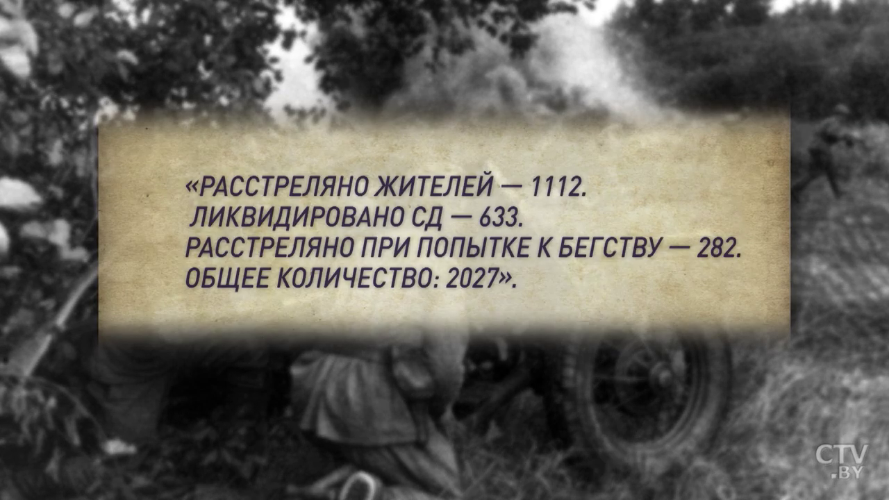 «И носы отрезали, и звёзды рисовали молодым». Она выжила во «второй Хатыни»-50