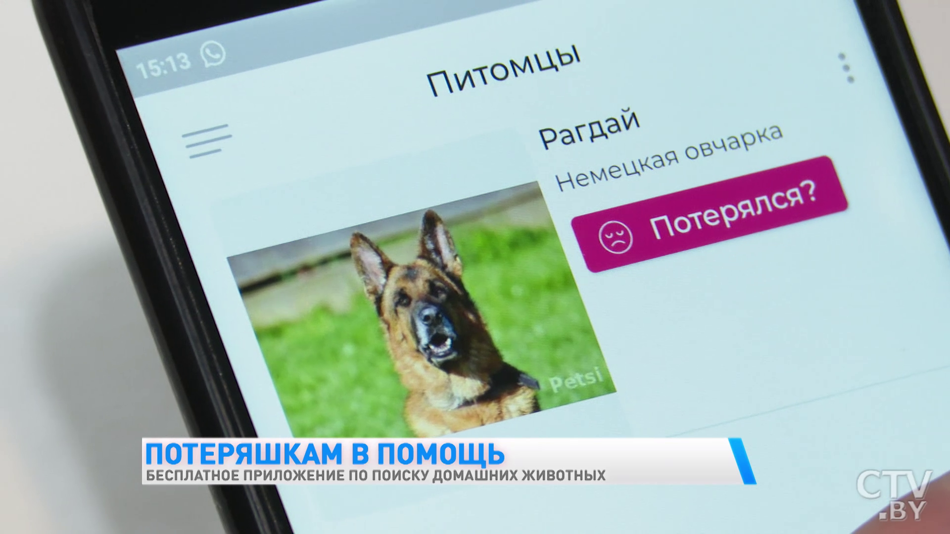 Бесплатное приложение по поиску домашних животных разработали белорусские программисты. Как оно работает-15