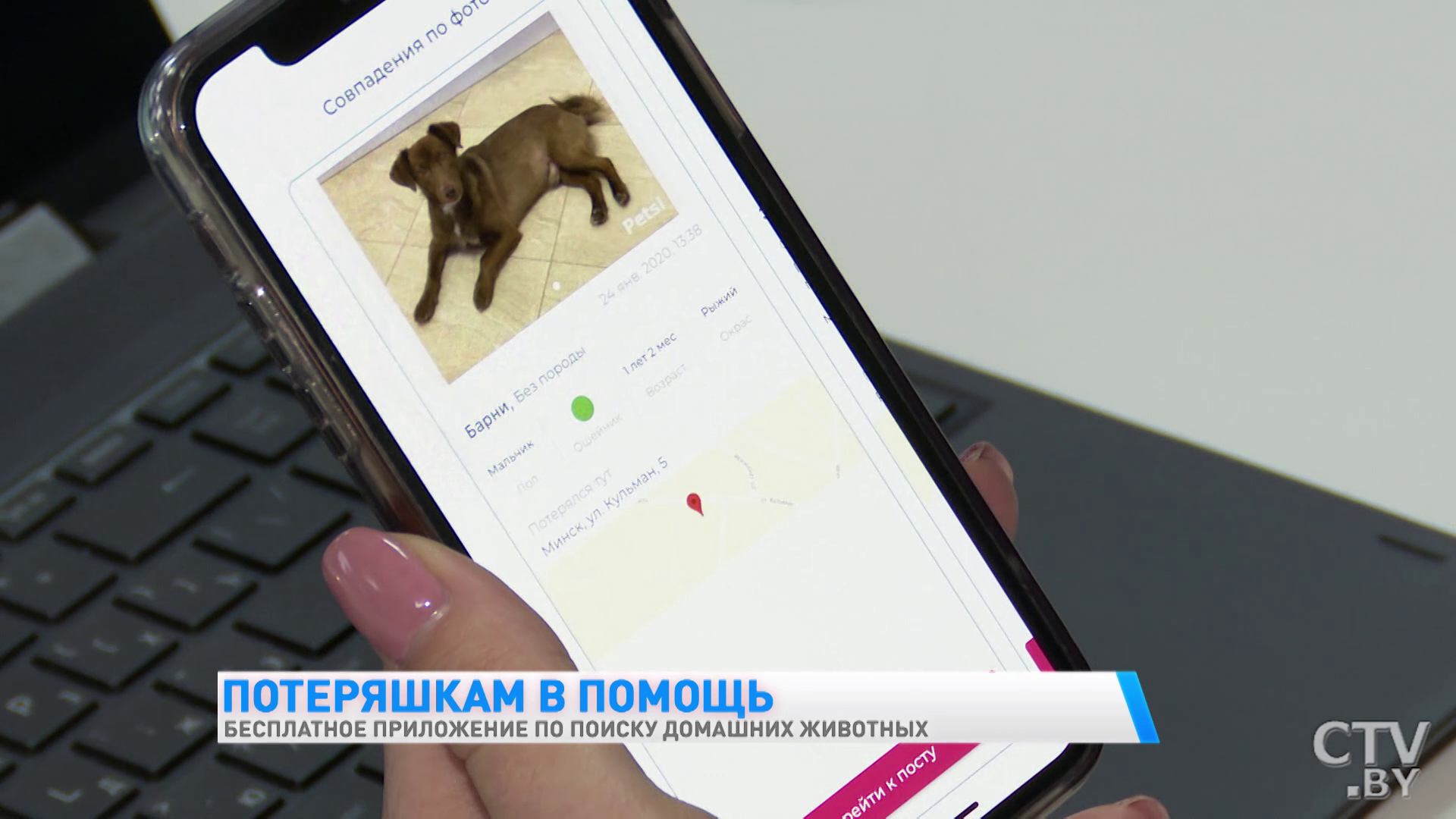 Бесплатное приложение по поиску домашних животных разработали белорусские программисты. Как оно работает-12