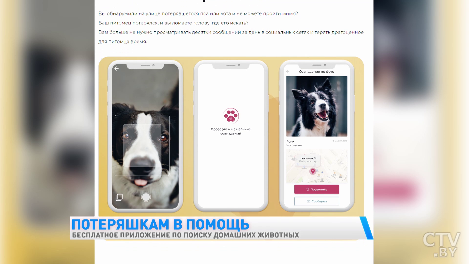 Бесплатное приложение по поиску домашних животных разработали белорусские программисты. Как оно работает-7