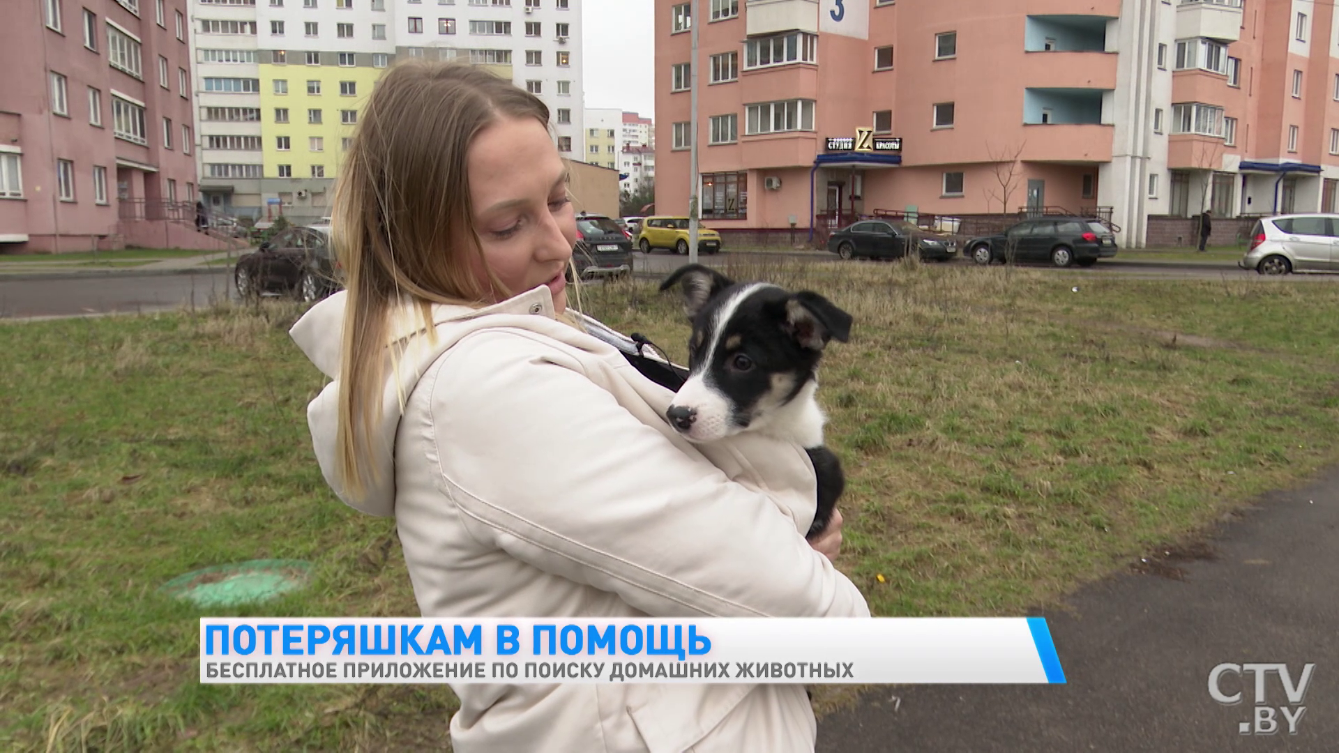 Бесплатное приложение по поиску домашних животных разработали белорусские программисты. Как оно работает-21