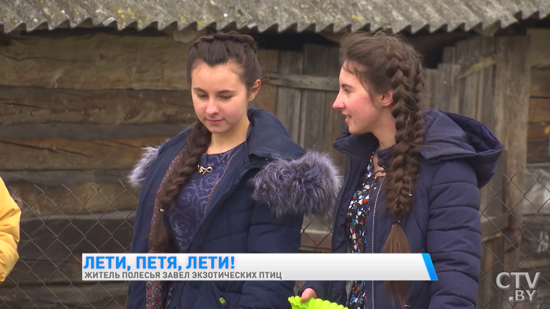Здесь принимают ванны чёрные лебеди и хлопают ресницами страусы. Как белорус завёл во дворе экзотических птиц-19