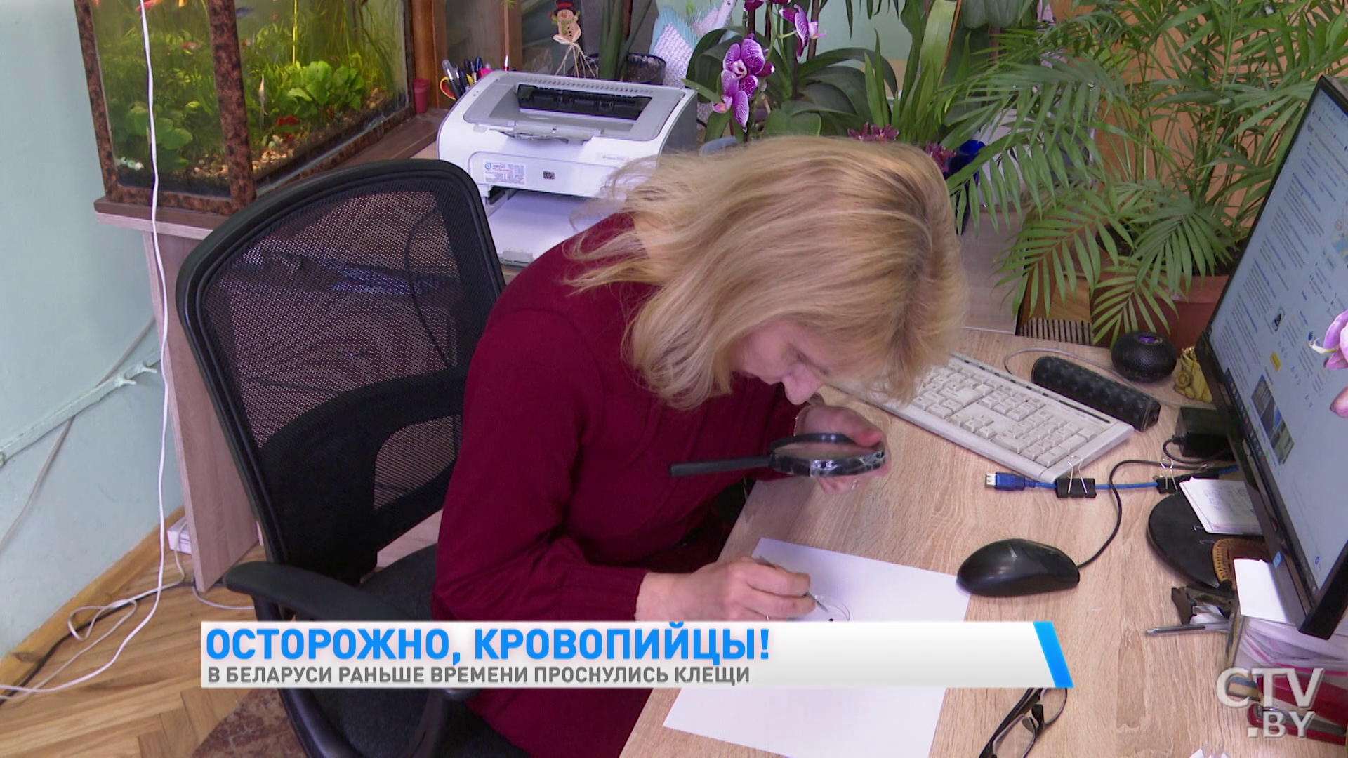 В Беларуси раньше времени проснулись клещи. Как уберечь себя от укуса-4