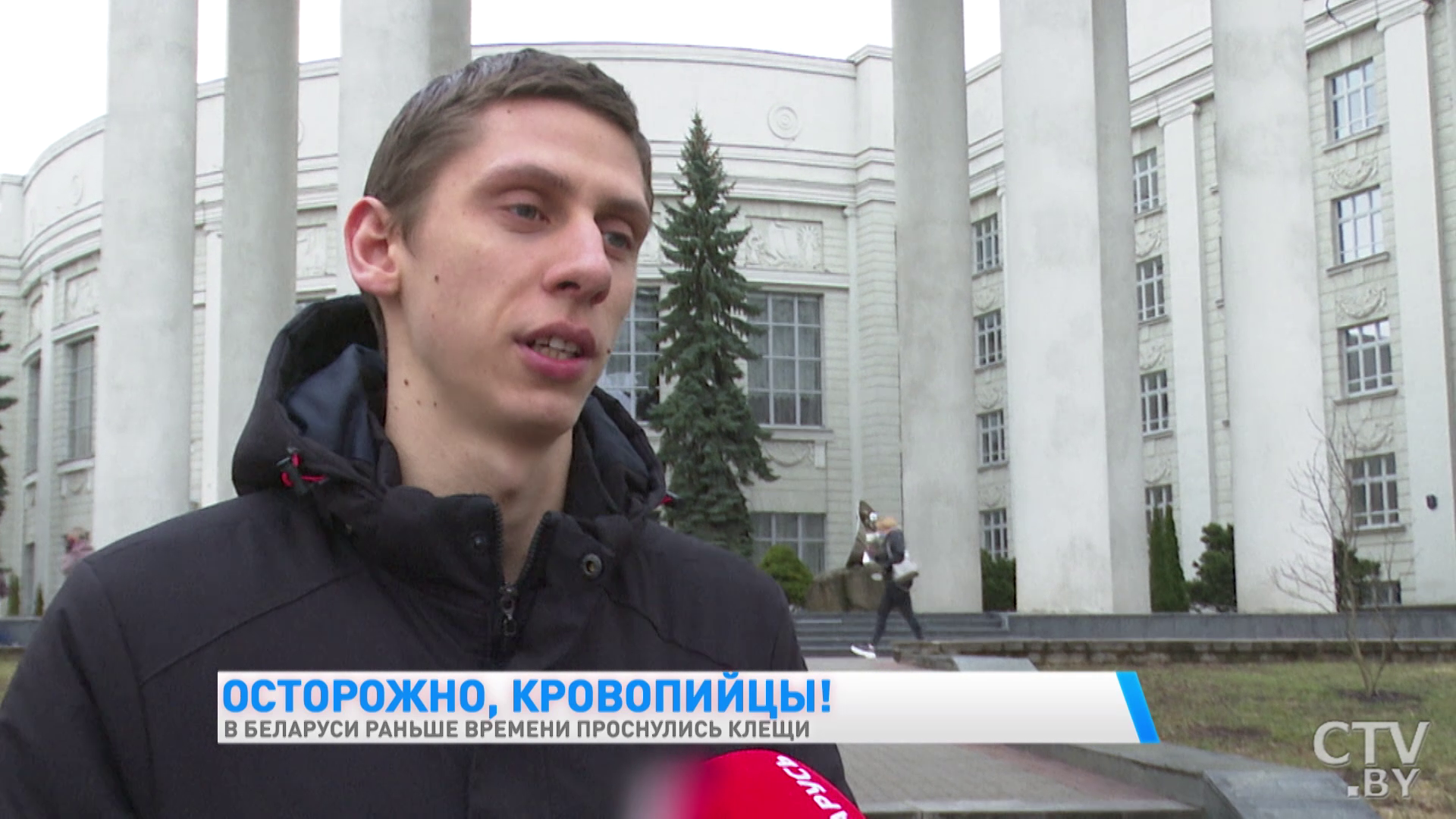 В Беларуси раньше времени проснулись клещи. Как уберечь себя от укуса-7