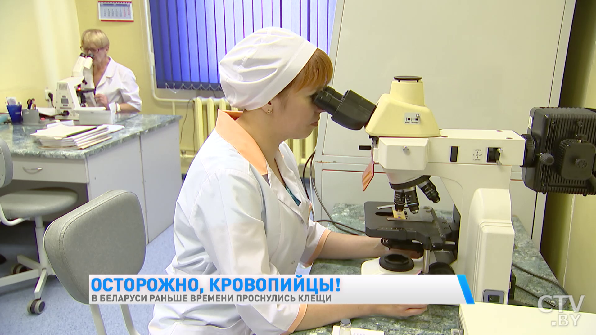 В Беларуси раньше времени проснулись клещи. Как уберечь себя от укуса-10