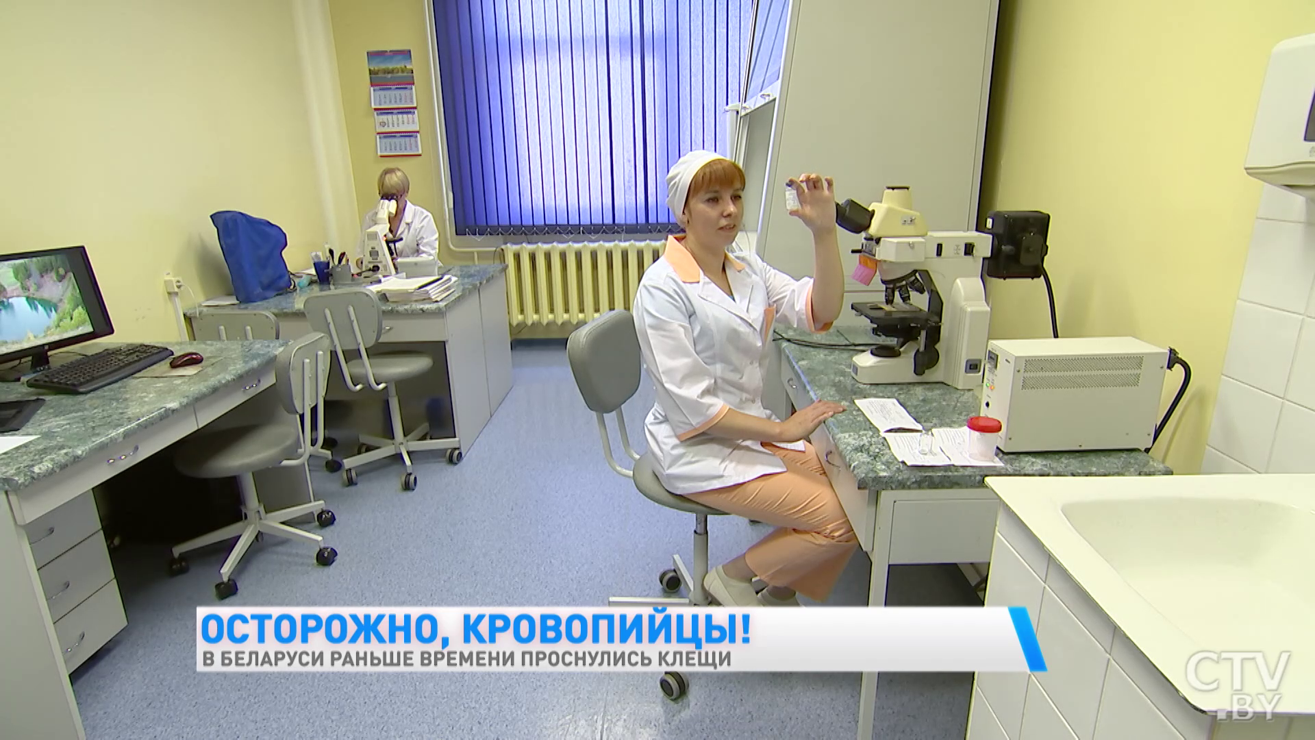 В Беларуси раньше времени проснулись клещи. Как уберечь себя от укуса-16