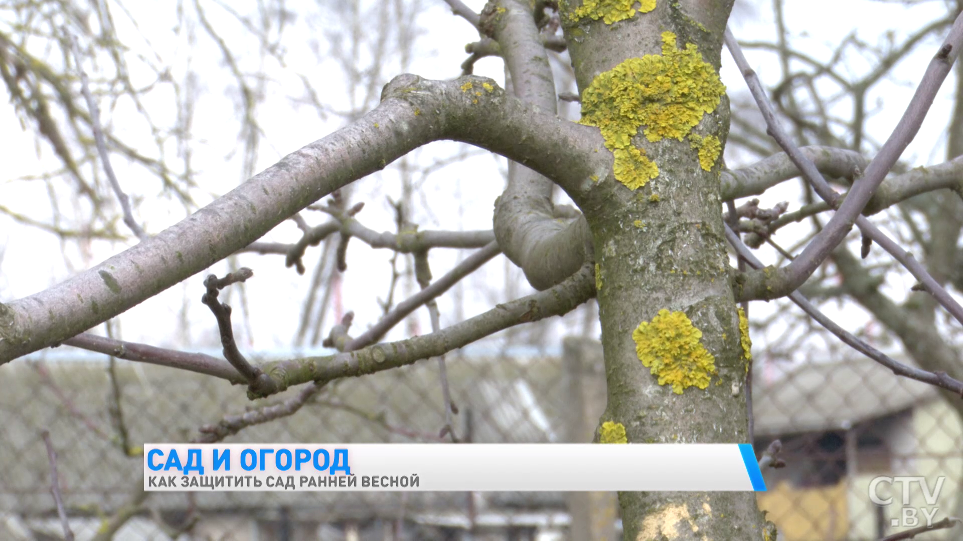 Что нужно сделать ранней весной в саду, чтобы был хороший урожай-4